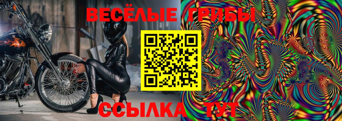 Псилоцибиновые грибы прущие грибы  Галлюциногенные грибы Magic Shrooms  Ковров  Вход с VPN 